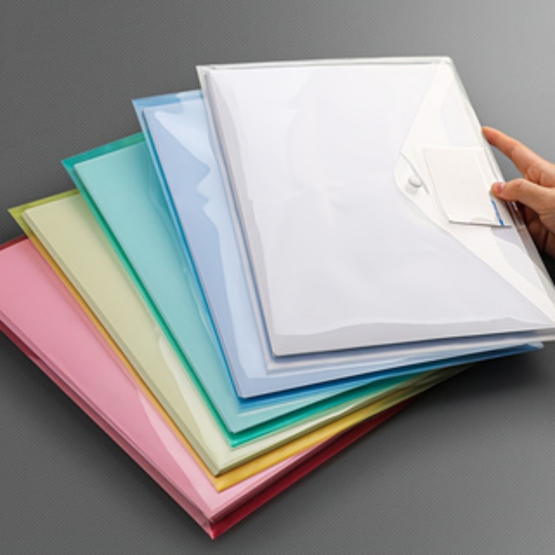 Document Organizer Folder - Random Color A4 Transparent Waterproof File