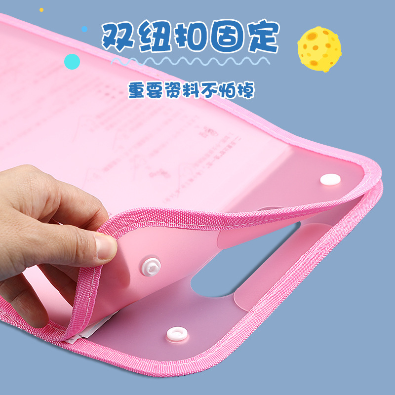 13 Pocket File Folders Portabl - Document Organizer Folder review and price