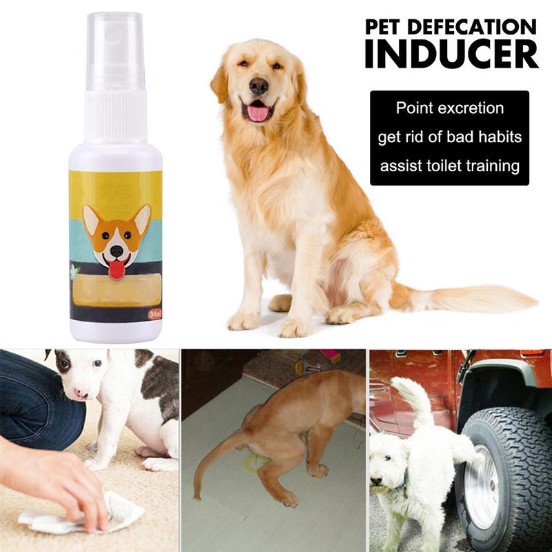 1PCS Dog Potty Train Spray Por - Travel Accessories In Train review and price