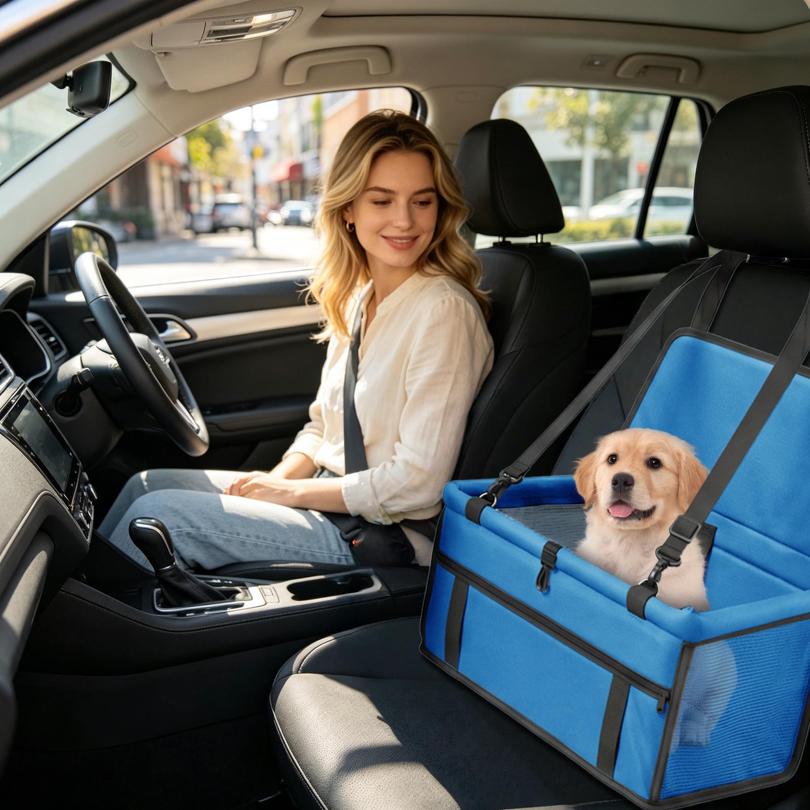 Small Dog Car Seat Waterproof  - Travel Accessories Under 10 review and price